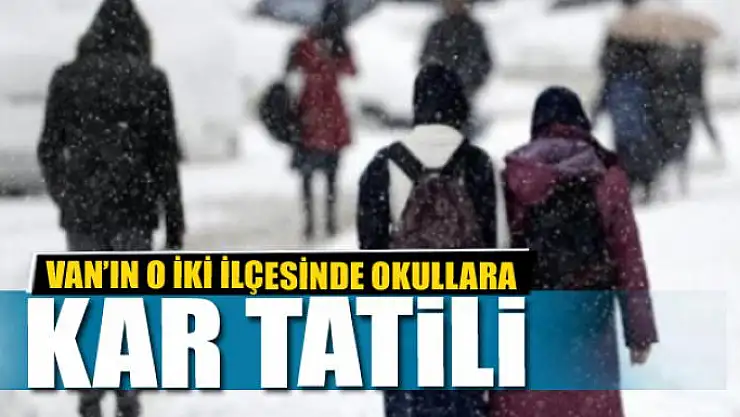 Van'ın o iki ilçesinde okullara kar tatili