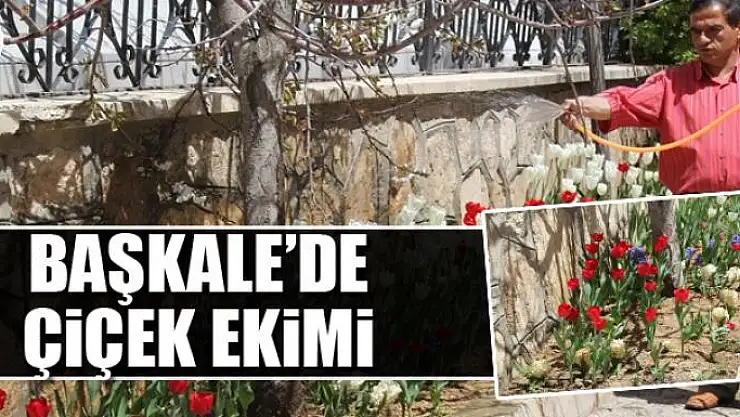 Başkale Belediyesinden çiçek ekimi