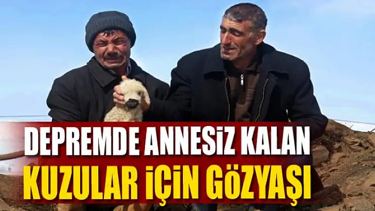Depremde annesiz kalan kuzular için gözyaşı