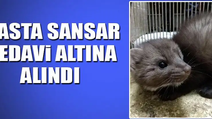 Hasta Sansar tedavi altına alındı 