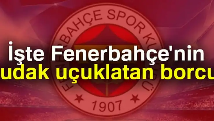 Fenerbahçe'nin borcu 311 milyon TL