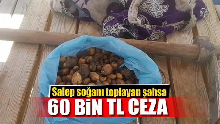 Salep soğanı toplayan şahsa 60 bin TL ceza 