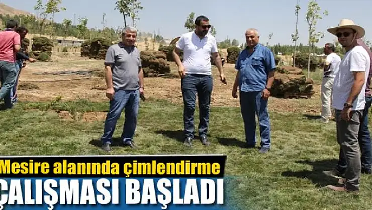 Mesire alanında çimlendirme çalışması