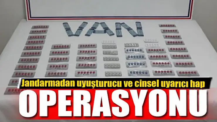 Van'da 541 adet uyuşturucu ve cinsel uyarıcı hap ele geçirildi