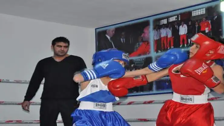 Boksör'lerden özel turnuva