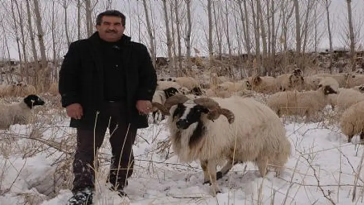 KÖYLÜLERİN KIŞ ÇİLESİ