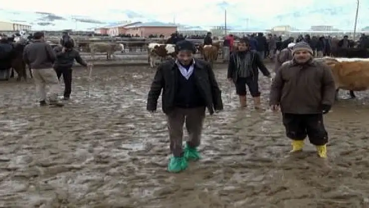 HAYVAN PAZARINDA ÇAMUR REZALETİ