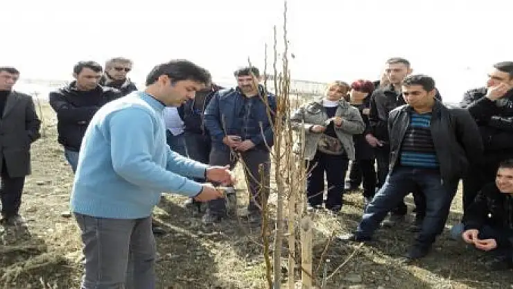 TARIM ELEMANLARINA UYGULAMALI EĞİTİM