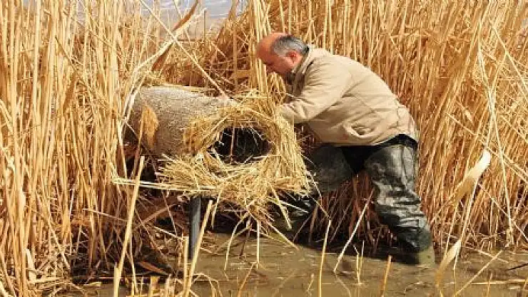 YABAN KUŞLARINA YUVA