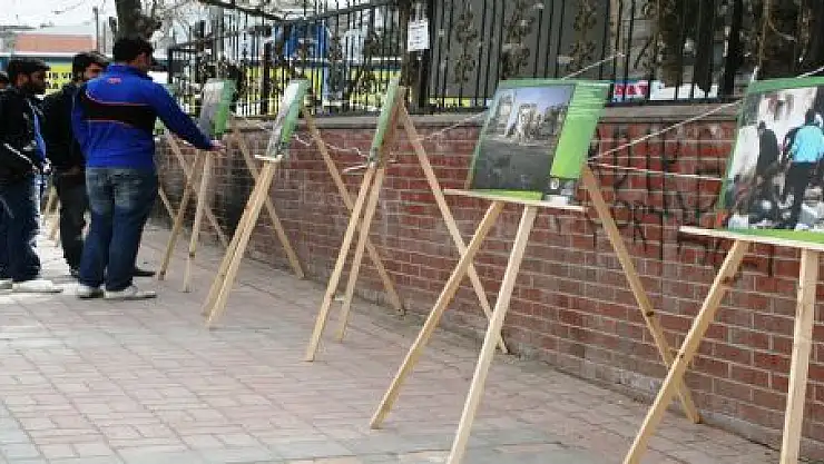 SURİYE KONULU FOTOĞRAF SERGİSİ