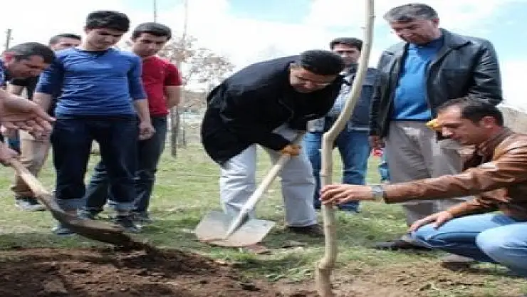 BİR DİKİLİ AĞACIN OLSUN KAMPANYASI