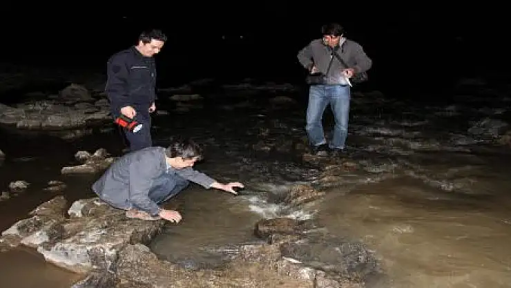 BALIKLARIN GECE YOLCULUĞU