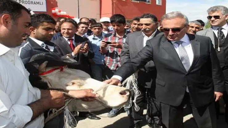 KİTAP OKUDU  İNEĞİ KAPTI