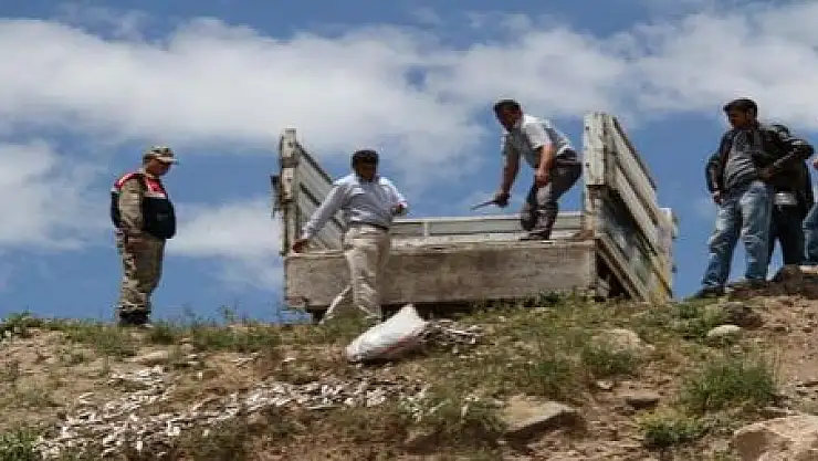 120 TON KAÇAK BALIK ELE GEÇİRİLDİ