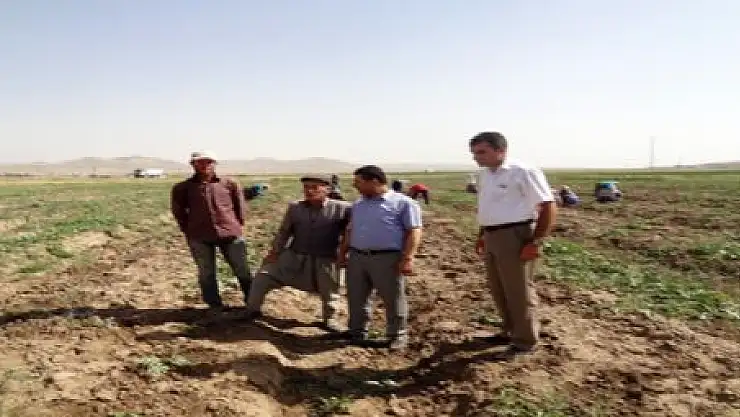VAN'DA TARIM HIZLA GELİŞİYOR