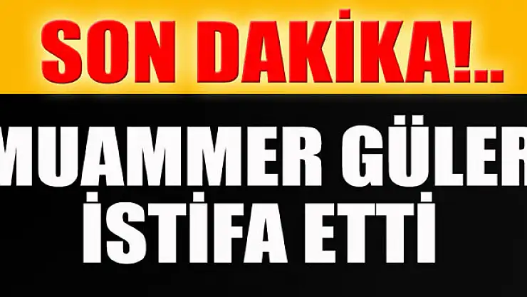 İçişleri Bakanı Muammer Güler istifa etti