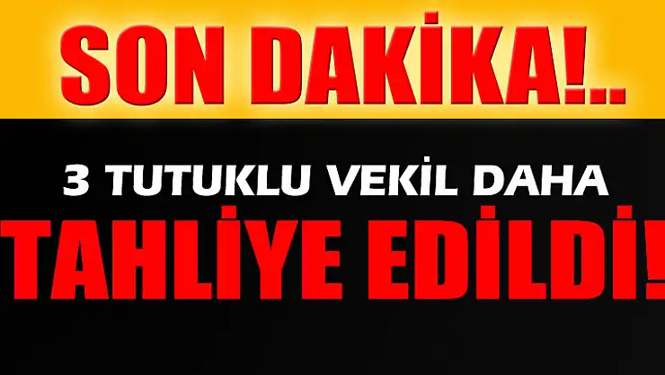 3 BDP'li vekil daha tahliye oldu