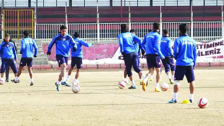 B.VANSPOR ŞEKERİ ERİTMEYE KARARLI