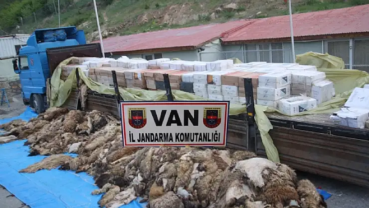 VANDA SİGARA KAÇAKÇILIĞI 