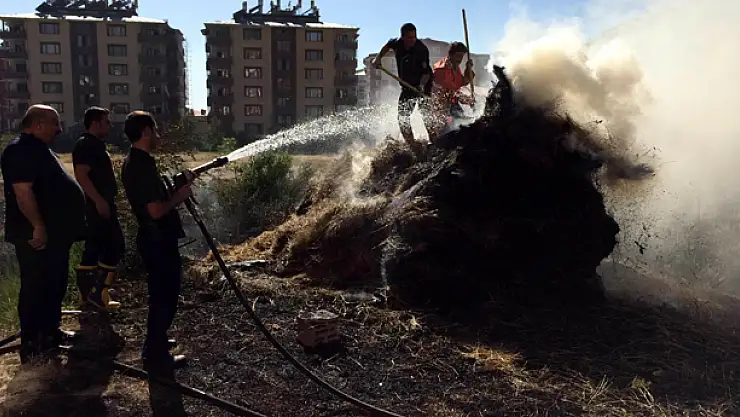Van'da Ot Yangını Korkuttu
