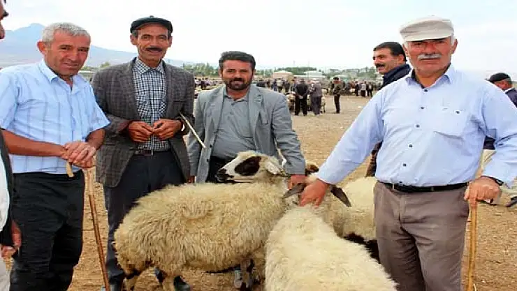 Hayvan Pazarında Bayram Hareketliliği 