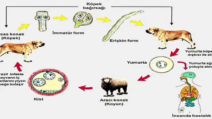 Halk Sağlığı'ndan Önemli Uyarı