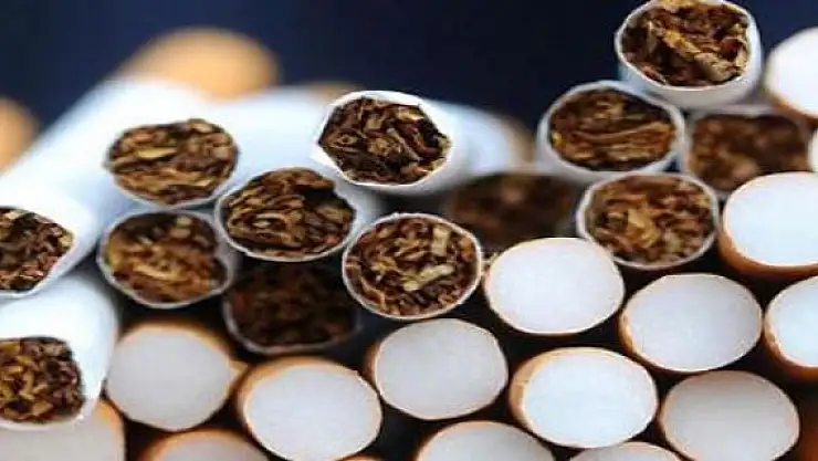 Kaçak Sigara Kullanımı Korkutuyor