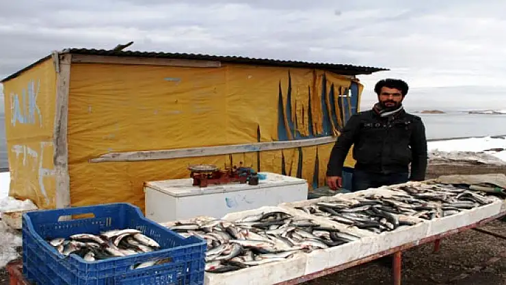 Van Balığı'na Rakip Çıktı