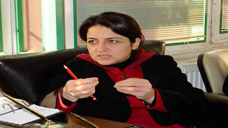 Gülşen Orhan: HDP Sırtını Silahlı Güce Dayamış