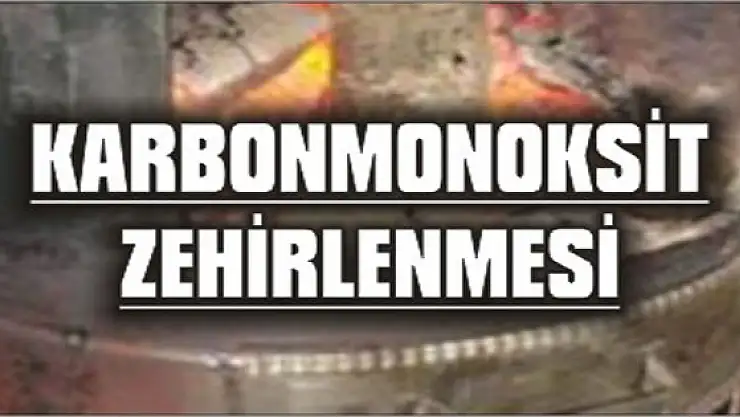 Erciş'te Karbonmonoksit zehirlenmesi