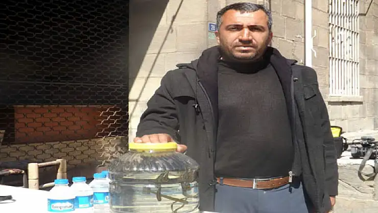 Sülük Tedavisine Halkın İlgisine Rağbet Var 