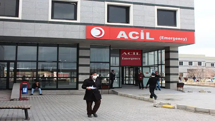 Van'da Domuz Gribi Şüphesi 