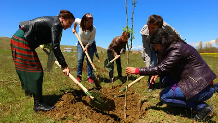 Edremitte Fidan Dikimi