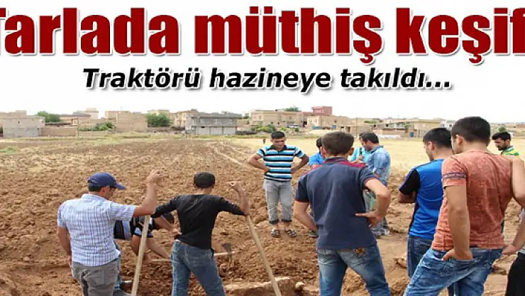 Mardin'de 'Erken Tunç Çağı'na ait mezar bulundu