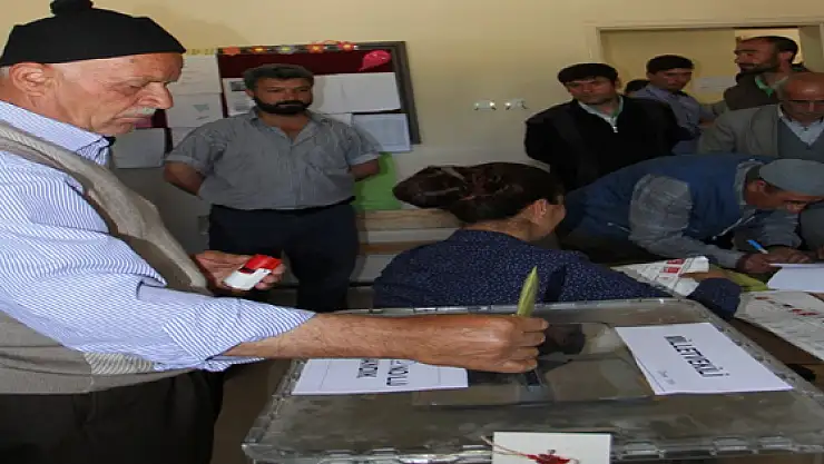 Vanda Oy Kullanma İşlemi Devam Ediyor