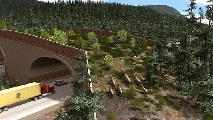 Hayvanlara Özel Üst Geçit 