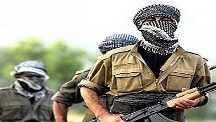 Çin'den PKK açıklaması!