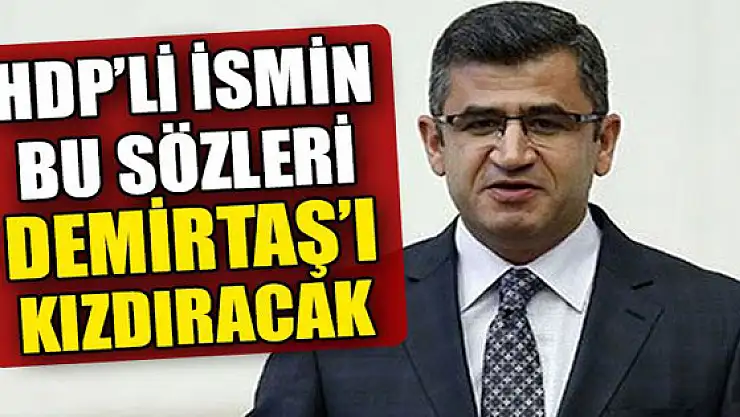 HDP'li ismin bu sözleri Demirtaş'ı kızdıracak