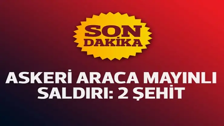 Lice'de askeri araca mayınlı saldırı: 2 şehit