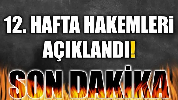 Süper Lig'in 12. hafta hakemleri belli oldu