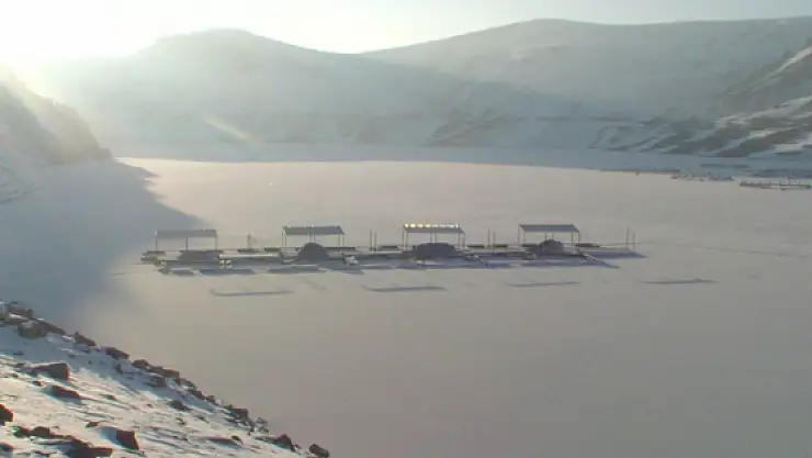 Van'da Sibirya Soğukları Hüküm Sürüyor