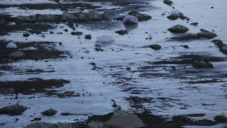 Türkiye'nin en sıcak şehrini buz tuttu