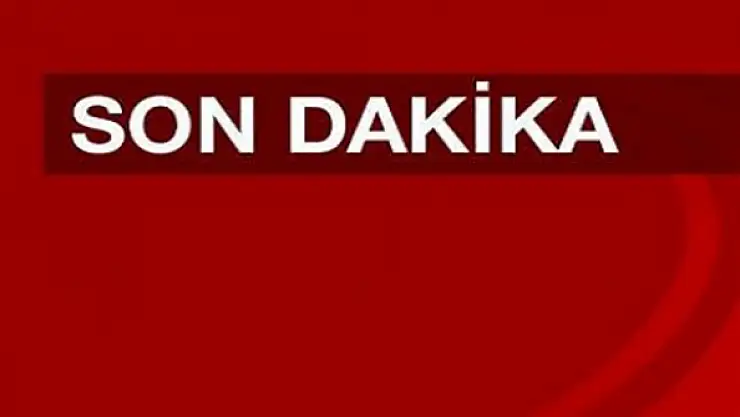Yolcu Minibüsü Devrildi: 15 İranlı Yaralı