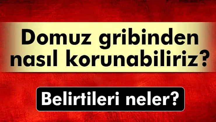 Domuz gribinden nasıl korunabiliriz?