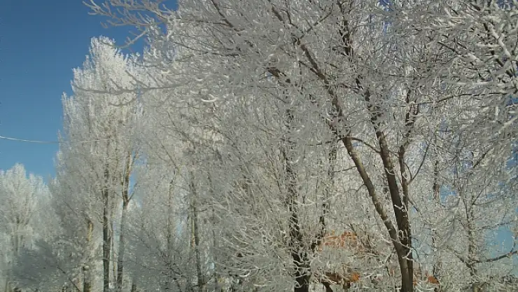  Özalp İlçesinde Dondurucu Soğuklar