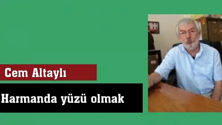 Harmanda yüzü olmak