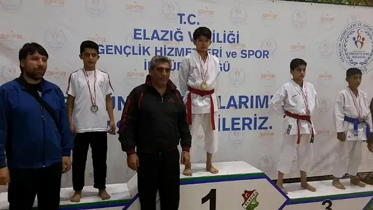 Vanlı Karateciler Türkiye Finalinde