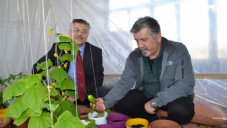 Vanda Yeni Bir Toprak Projesi 