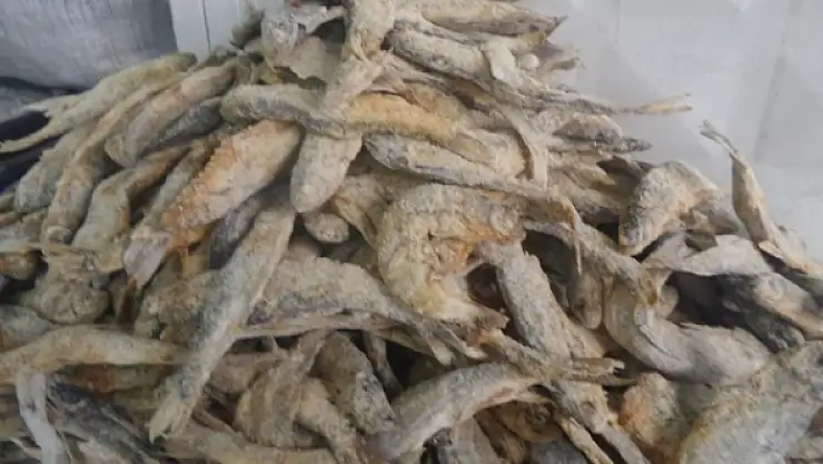 Küp Peynir İle Tuzlu Balığın Yerini Tazeleri Alıyor