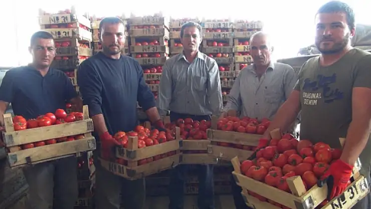 Mersinden Iraka domates ihracatı başladı